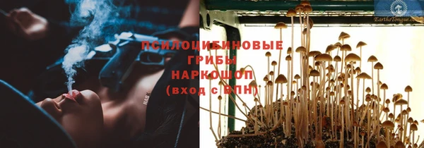 сатива Беломорск