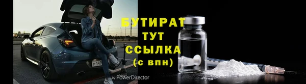 сатива Беломорск