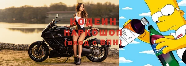 сатива Беломорск