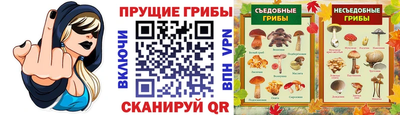Галлюциногенные грибы Psilocybe  Белый 
